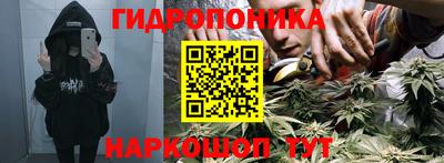 ECSTASY Новозыбков