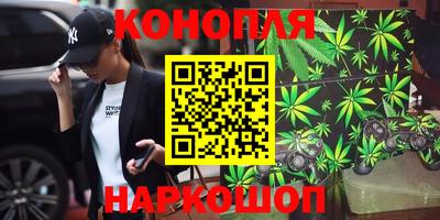 ECSTASY Новозыбков