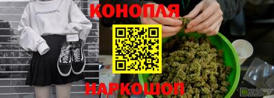 ECSTASY Новозыбков