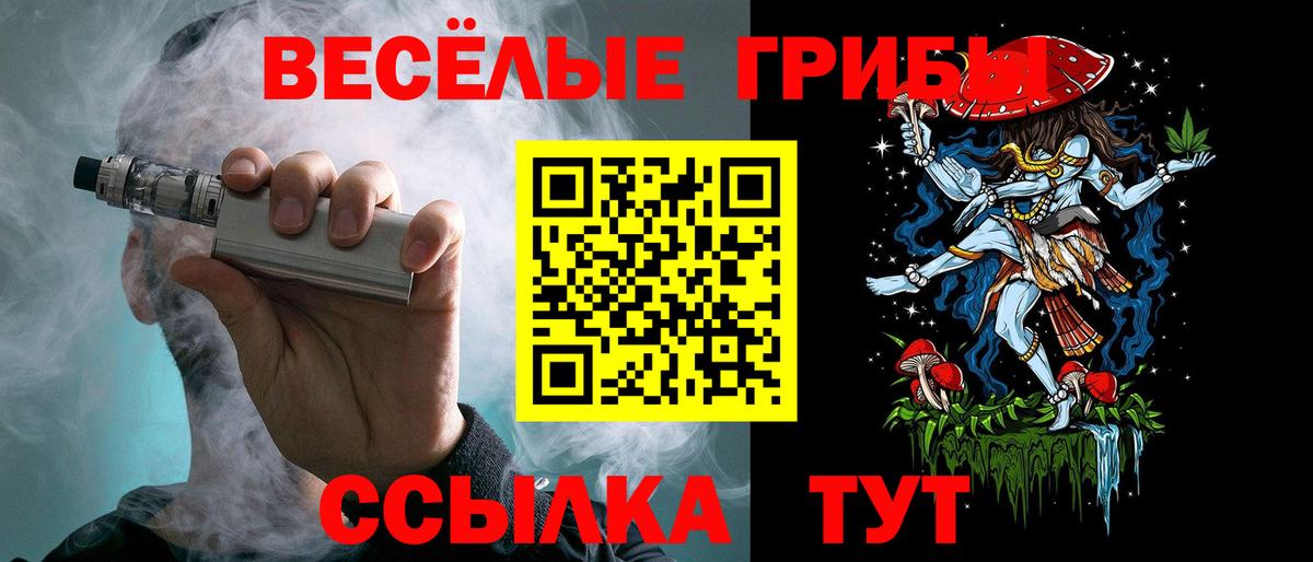 Псилоцибиновые грибы GOLDEN TEACHER Сургут