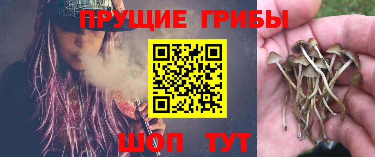 Псилоцибиновые грибы мухоморы  Вход с VPN  Сургут  Галлюциногенные грибы ЛСД 